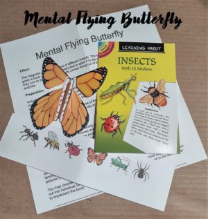 Mental Flying Butterfly $9.00 - Image 2