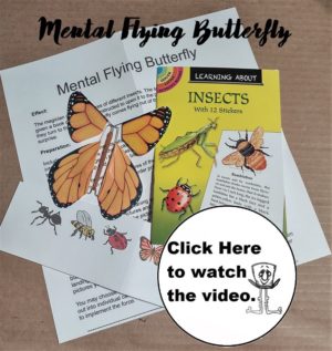 Mental Flying Butterfly $9.00