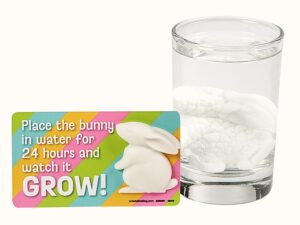 Grow a Bunny $3.00 - Image 3