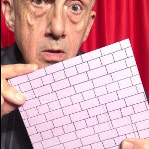 Wall Illusion Puzzle $9.00