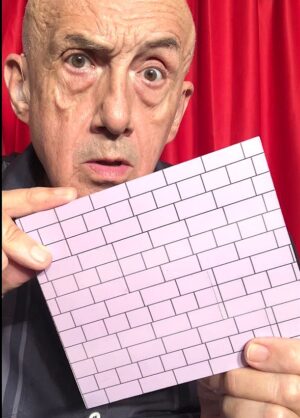 Wall Illusion Puzzle $9.00